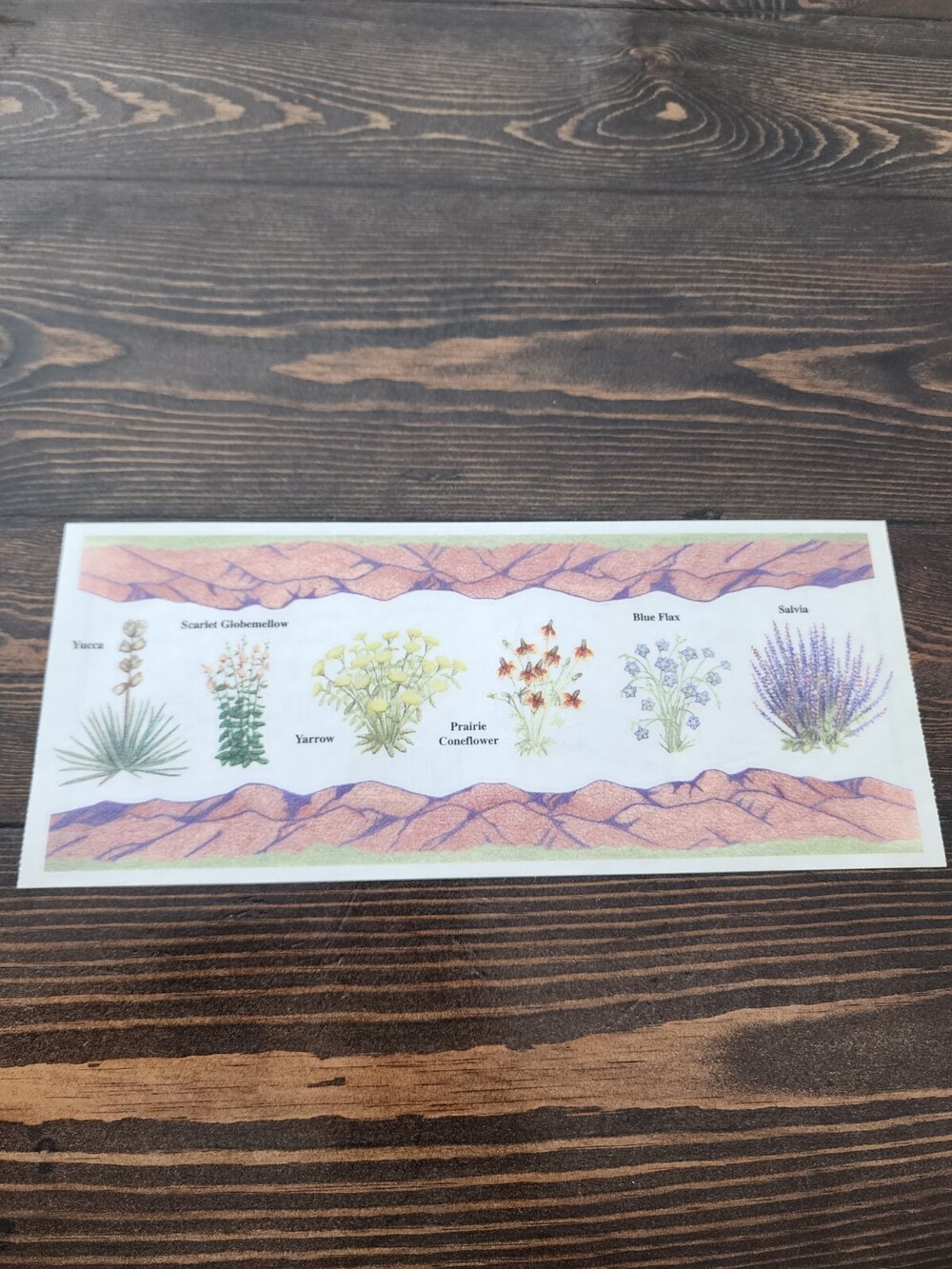 Sticker Border Southwest Landscape Tumblebeasts Scrapbooking Vintage Retired #21